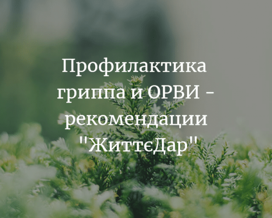 Профилактика гриппа и ОРВИ рекомендации Життєдар (чёрный тмин, бента, зьода жива)